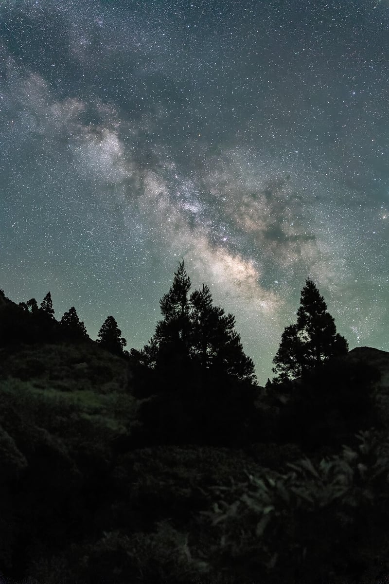 Cosmos